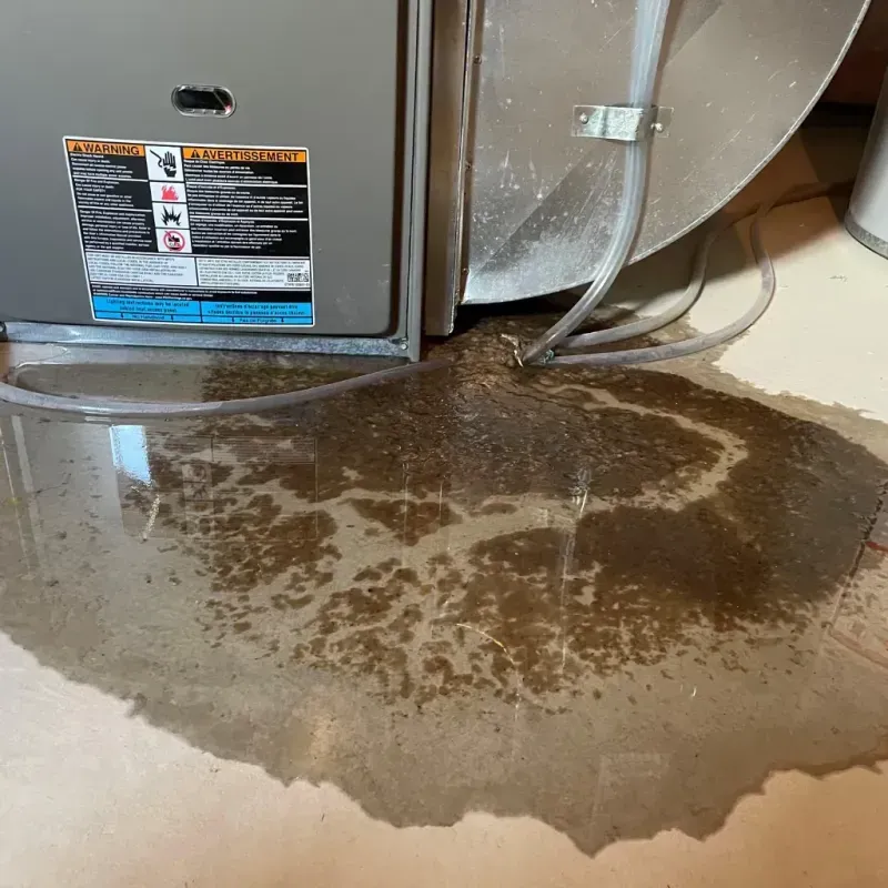 Appliance Leak Cleanup in Bradley, WV